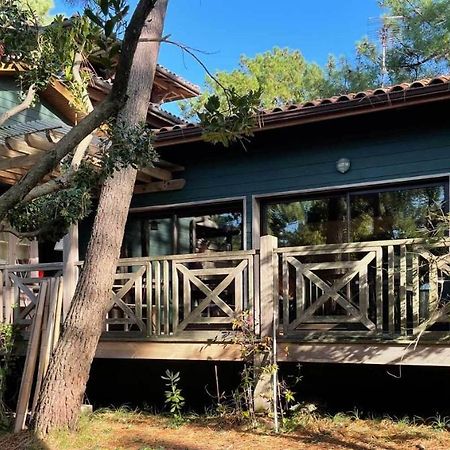Yamina Lodge Lège-Cap-Ferret المظهر الخارجي الصورة